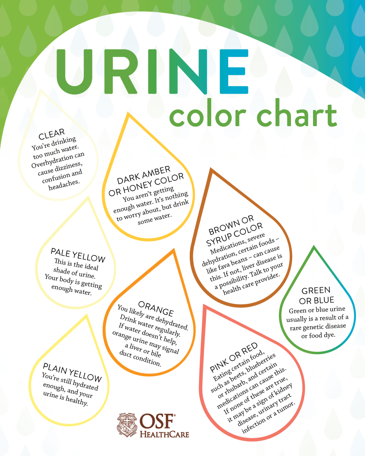 what-color-should-your-urine-be-osf-healthcare